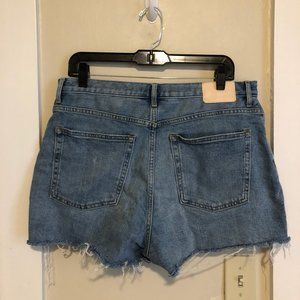 Everlane Cheeky Denim Shorts